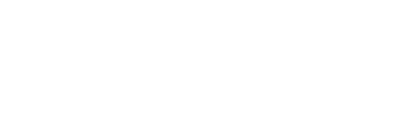 multichannel systems