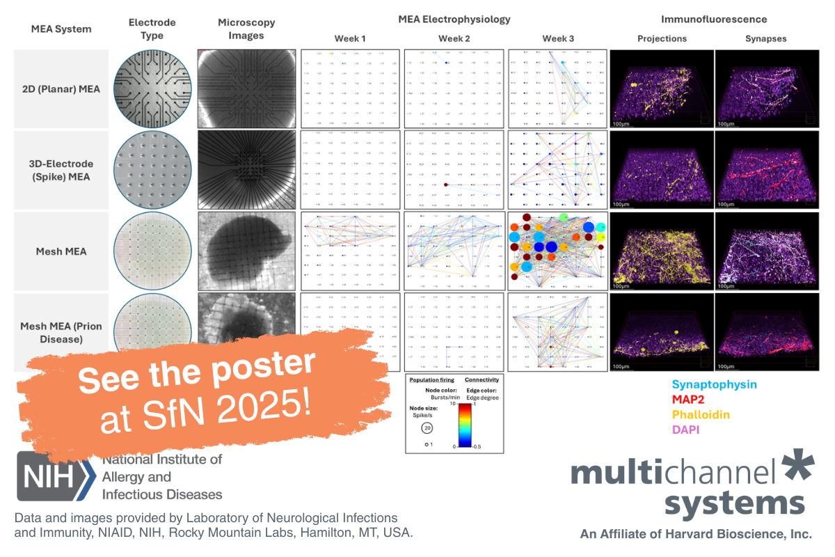 Chart showing Mesh MEA data and fluorescence images - Prion Disease and Neural Connectivity - Organoid Electrophysiology